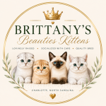 Brittany's Beauties Profile Photo - Cattery
