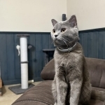 Sarah Profile Photo - Breeder