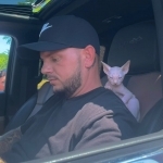 Shane Profile Photo - Cat Lover