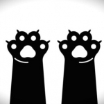 Becky Profile Photo - Cat Lover