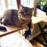 Dora Profile Photo - Breeder