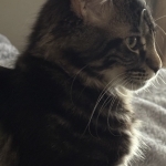 Steve Profile Photo - Breeder