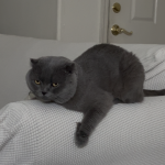 Jan Profile Photo - Breeder