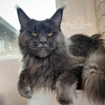 Stephanie Profile Photo - Breeder