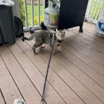 Jason Profile Photo - Breeder