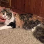 Barbara Profile Photo - Breeder