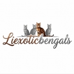 Brian Profile Photo - Breeder