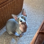 Michelle Profile Photo - Breeder