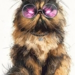 Princess Donut Profile Photo - Cattery