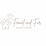 Danielle Profile Photo - Cattery