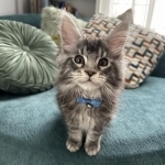 Victoria Profile Photo - Breeder