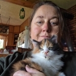 Ginger Profile Photo - Cattery