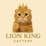 Lion King Cattery Profile Photo - Cattery