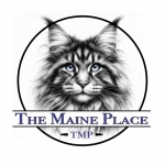 David TheMainePlace Profile Photo - Breeder