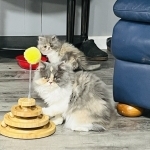 Jamie Profile Photo - Breeder