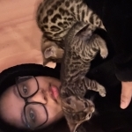 Terai Profile Photo - Cattery