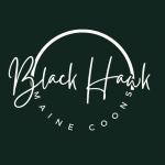 Megan Profile Photo - Cattery