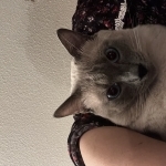 Fatima Profile Photo - Breeder