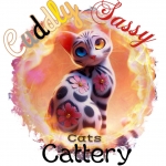 Monique Profile Photo - Cattery