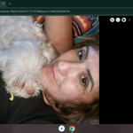 Kristina Profile Photo - Cat Lover