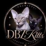 Dbzkitts Profile Photo - Cattery