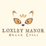 LoxleyManorMaineCoon Profile Photo - Breeder
