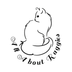 Jamie Profile Photo - Cattery