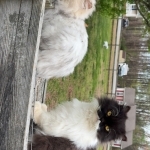 Kendan Profile Photo - Breeder
