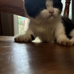 Patty Profile Photo - Breeder