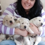 Rushell Profile Photo - Breeder