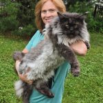 Emily Profile Photo - Breeder