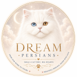 Dream Persian Profile Photo - Cattery