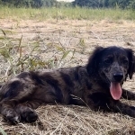Jayne Profile Photo - Breeder