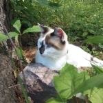 Dustin Profile Photo - Rescue