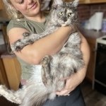Chelsea Profile Photo - Cattery