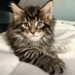 Megan Profile Photo - Breeder