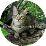 Shaina Profile Photo - Breeder
