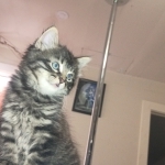 TJR Profile Photo - Breeder