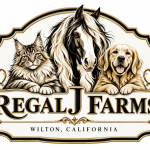Jaci Profile Photo - Breeder