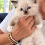 Lesia Profile Photo - Breeder