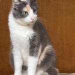 Jean Profile Photo - Breeder