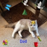 Tresea Moses Profile Photo - Breeder