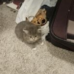 Megan Profile Photo - Breeder
