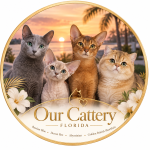 Fang Profile Photo - Breeder