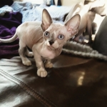 Monica Profile Photo - Breeder